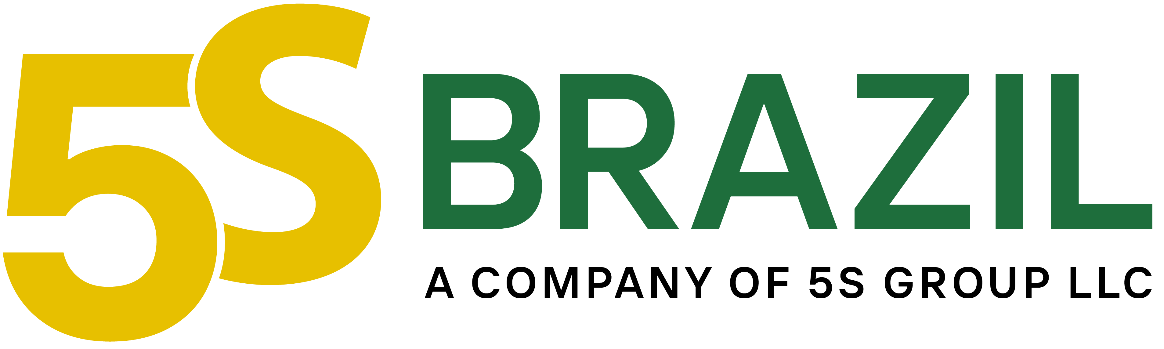 Logo da 5S Brazil